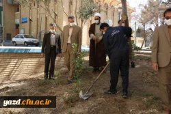 کاشت نهال همزمان با روز درختکاری و آغاز هفته منابع طبیعی  4