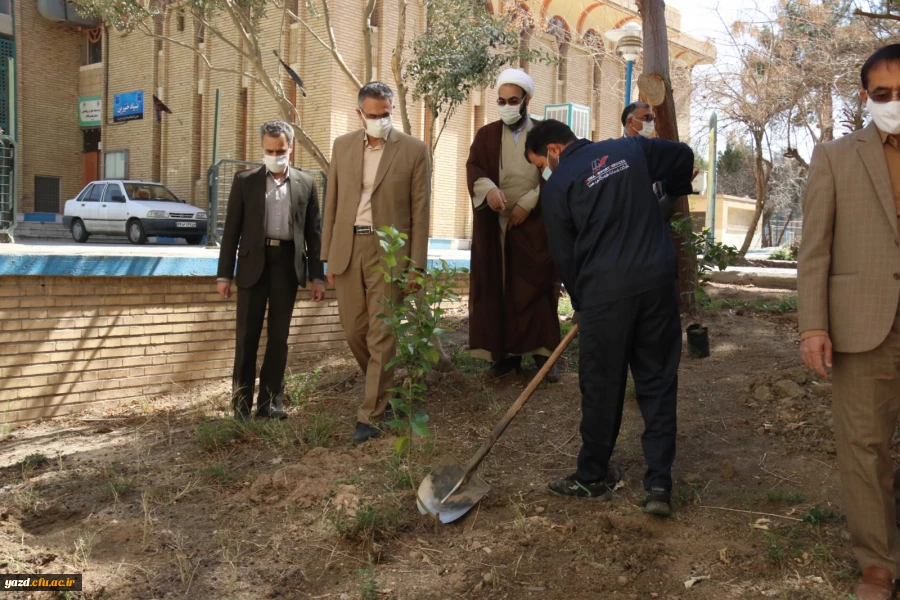 کاشت نهال همزمان با روز درختکاری و آغاز هفته منابع طبیعی  4