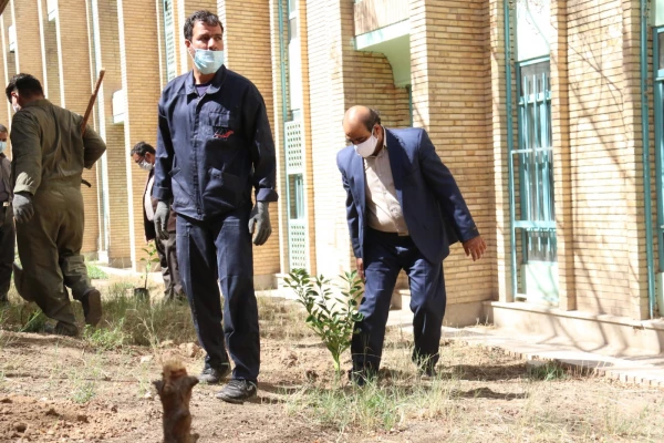 کاشت نهال همزمان با روز درختکاری و آغاز هفته منابع طبیعی  5