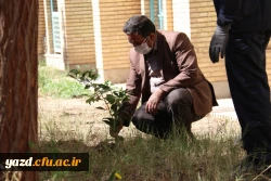 کاشت نهال همزمان با روز درختکاری و آغاز هفته منابع طبیعی  6