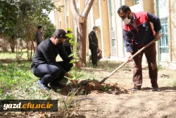 کاشت نهال همزمان با روز درختکاری و آغاز هفته منابع طبیعی  7