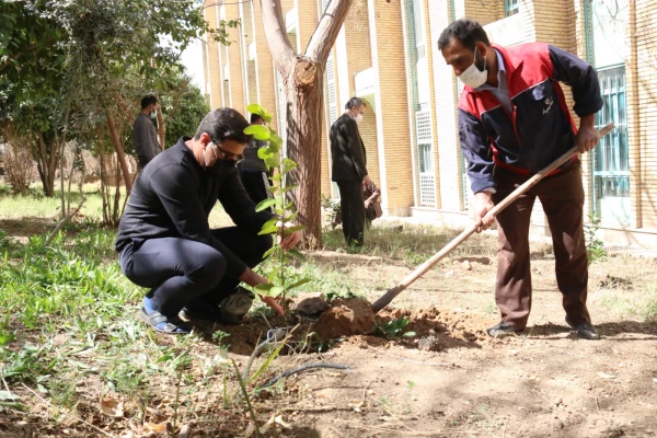 کاشت نهال همزمان با روز درختکاری و آغاز هفته منابع طبیعی  7