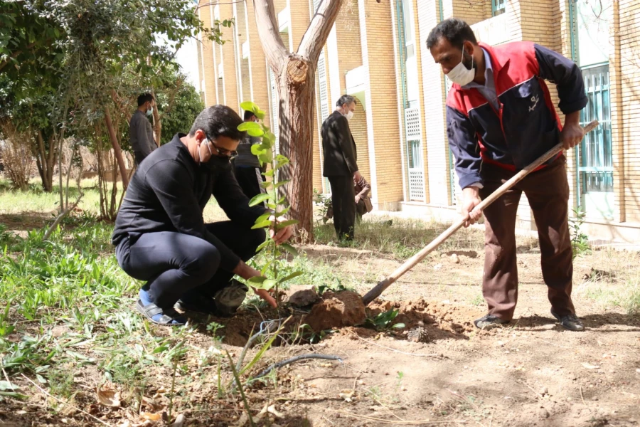 کاشت نهال همزمان با روز درختکاری و آغاز هفته منابع طبیعی  7