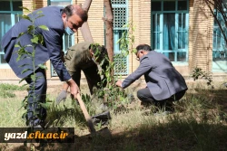 کاشت نهال همزمان با روز درختکاری و آغاز هفته منابع طبیعی  8
