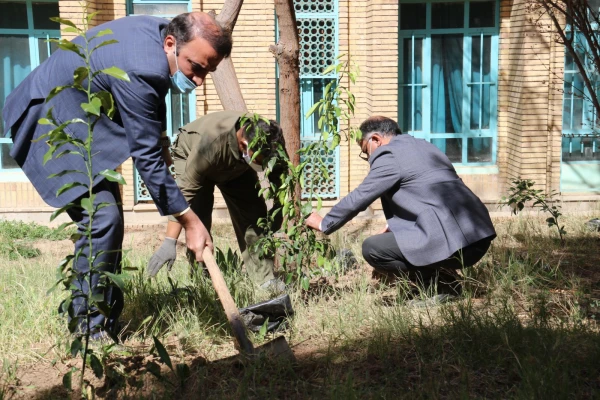 کاشت نهال همزمان با روز درختکاری و آغاز هفته منابع طبیعی  8