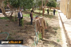 کاشت نهال همزمان با روز درختکاری و آغاز هفته منابع طبیعی  9