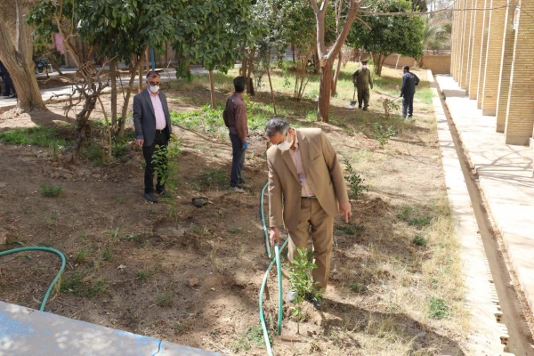 کاشت نهال همزمان با روز درختکاری و آغاز هفته منابع طبیعی  9