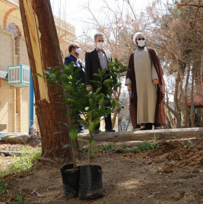 کاشت نهال همزمان با روز درختکاری و آغاز هفته منابع طبیعی  10