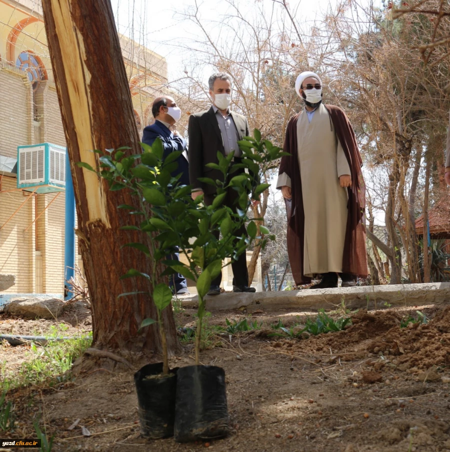 کاشت نهال همزمان با روز درختکاری و آغاز هفته منابع طبیعی  10