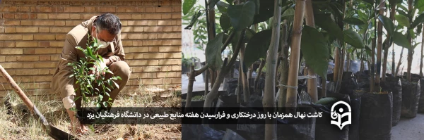 کاشت نهال همزمان با روز درختکاری و فرارسیدن هفته منابع طبیعی  3
