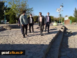 همایش ورزش صبحگاهی کارکنان پردیس های استانی دانشگاه فرهنگیان یزد 6