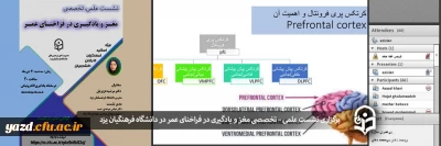 در دانشگاه فرهنگیان یزد برگزار شد؛

نشست علمی – تخصصی مغز و یادگیری در فراخنای عمر