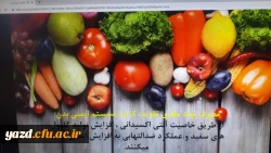  وبینار تغذیه سالم در کرونا 5