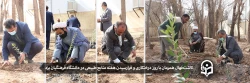 کاشت نهال همزمان با روز درختکاری و فرارسیدن هفته منابع طبیعی 2