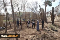 کاشت نهال همزمان با روز درختکاری و فرارسیدن هفته منابع طبیعی 3