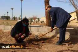 کاشت نهال همزمان با روز درختکاری و فرارسیدن هفته منابع طبیعی 6