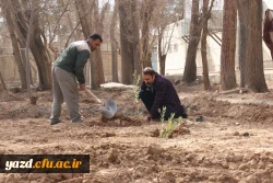 کاشت نهال همزمان با روز درختکاری و فرارسیدن هفته منابع طبیعی 7