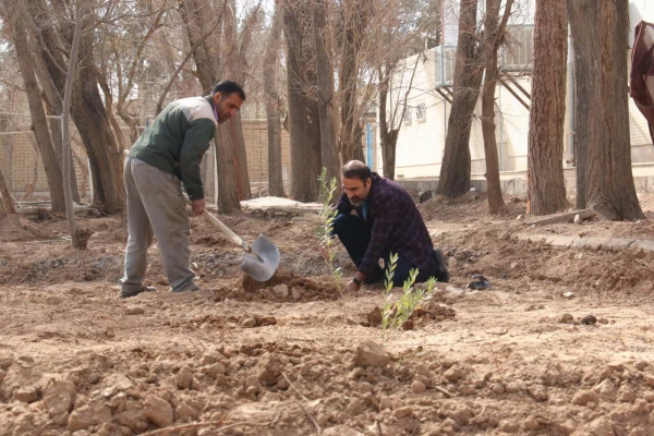 کاشت نهال همزمان با روز درختکاری و فرارسیدن هفته منابع طبیعی 7