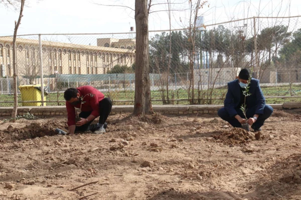 کاشت نهال همزمان با روز درختکاری و فرارسیدن هفته منابع طبیعی 8