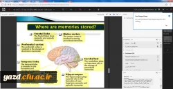 نشست علمی - تخصصی «حافظه، یادگیری و بهبود آن در گستره عمر»  9