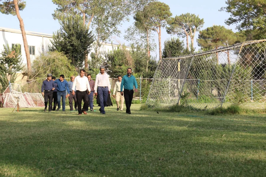 همایش پیاده روی  4