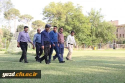 همایش پیاده روی  5