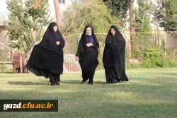 همایش پیاده روی  6