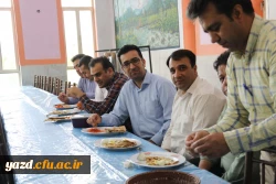 همایش پیاده روی  9