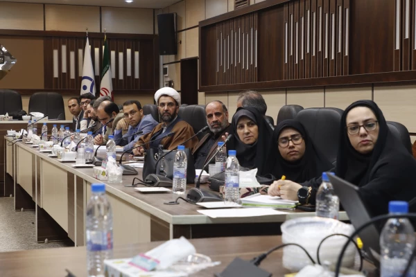 دوره بالندگی کارورزی 2 و 4 6