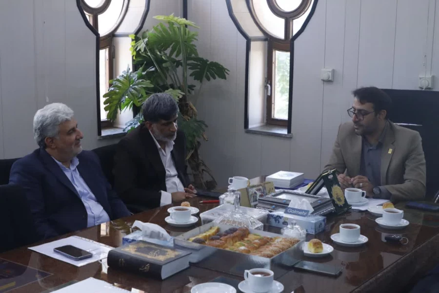 دیدار سرپرست دانشگاه فرهنگیان یزد با مسئولین شهرستان زارچ 
 2