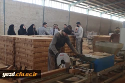 اردوی یک روزه راهیان پیشرفت ویژه اساتید و کارکنان دانشگاه فرهنگیان یزد
 4