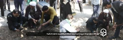 آیین کاشت نهال توسط سرپرست و مدیران دانشگاه فرهنگیان یزد به نیابت از شهدا
 2