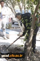 آیین کاشت نهال توسط سرپرست و مدیران دانشگاه فرهنگیان یزد به نیابت از شهدا
 2